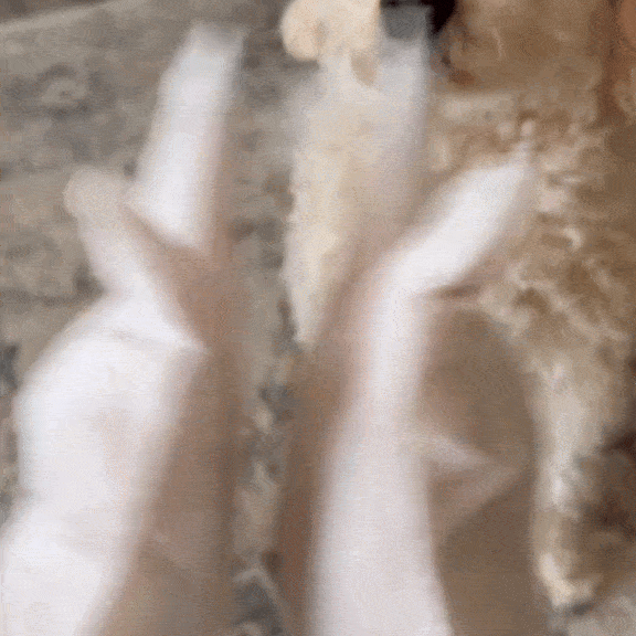 Mănușa Umedă pentru Curățat - Fresh Paw